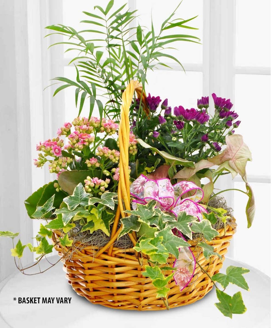 Deluxe Blooming Gardens Floral Arrangements Beneva Flowers gifts Sarasota Florida 34238