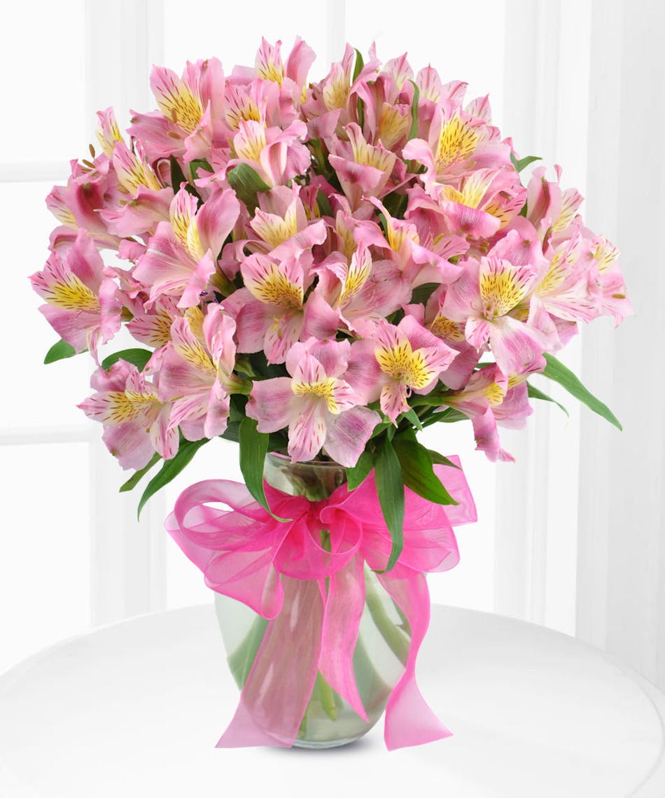Chrysanthemum: Symbolism - Beneva & Gifts