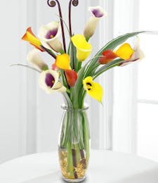 Mixed Colored Calla Lilies