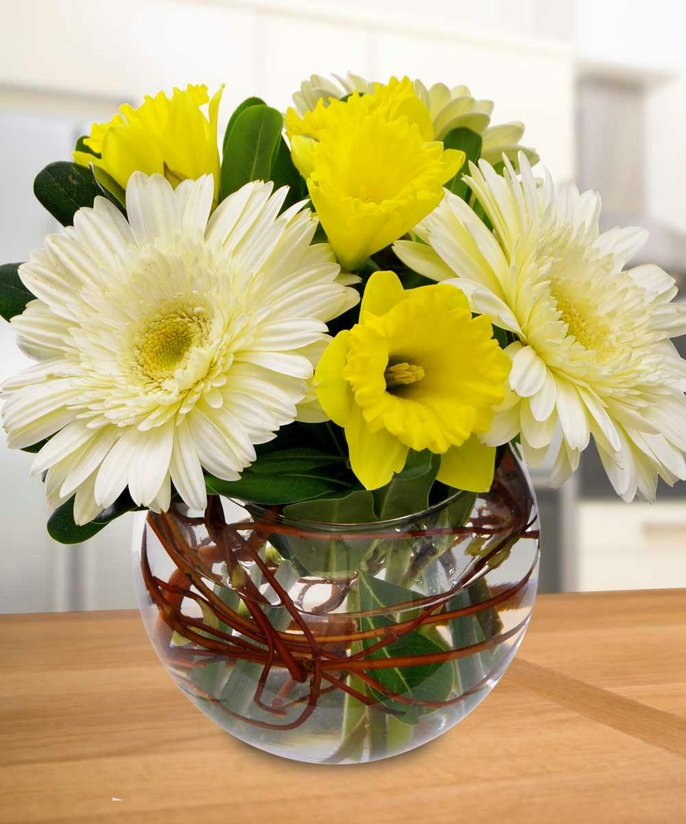 Daisies & Daffodils Spring Flowers Beneva Flowers Sarasota FL