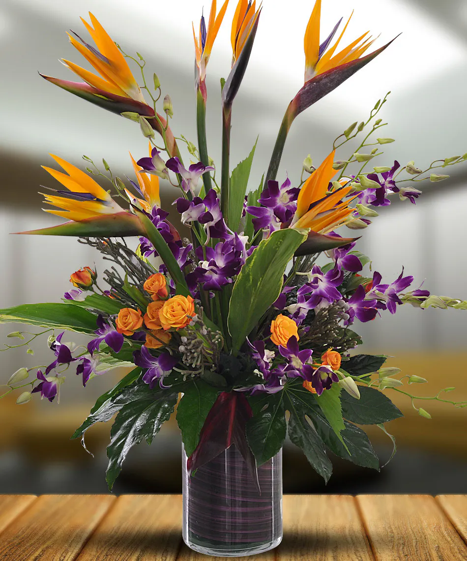 Orchids in Paradise Sarasota Tropical Flower Delivery