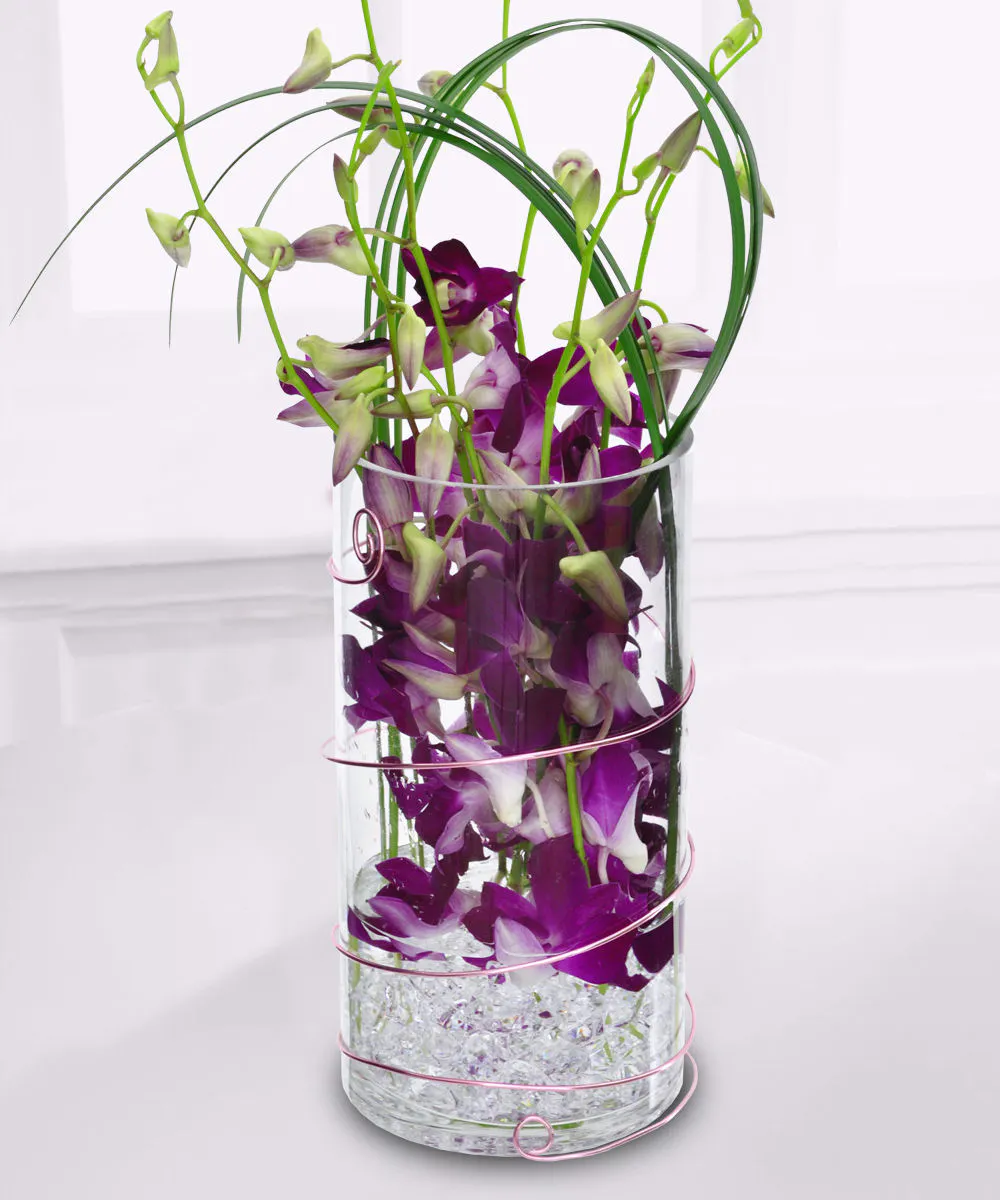 Dazzling Dendrobiums Floral Arrangements Beneva Flowers