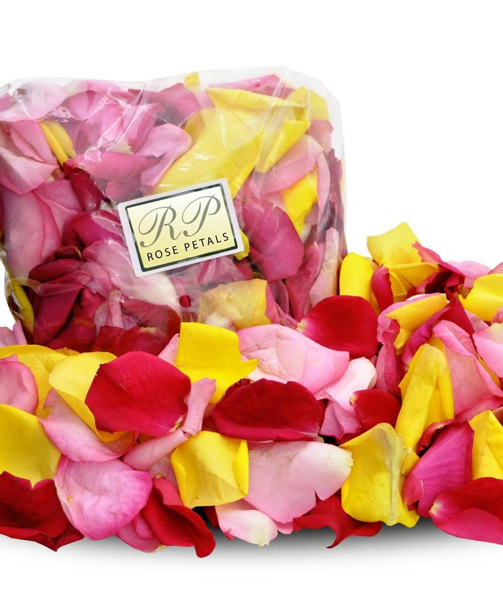 A Bed of Roses 100 Rose Petals for any occasion! 