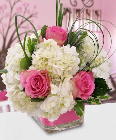 Baby Welcome Hydrangea Roses Colored Ribbon Beneva Not Available To Deliver 2 13 14