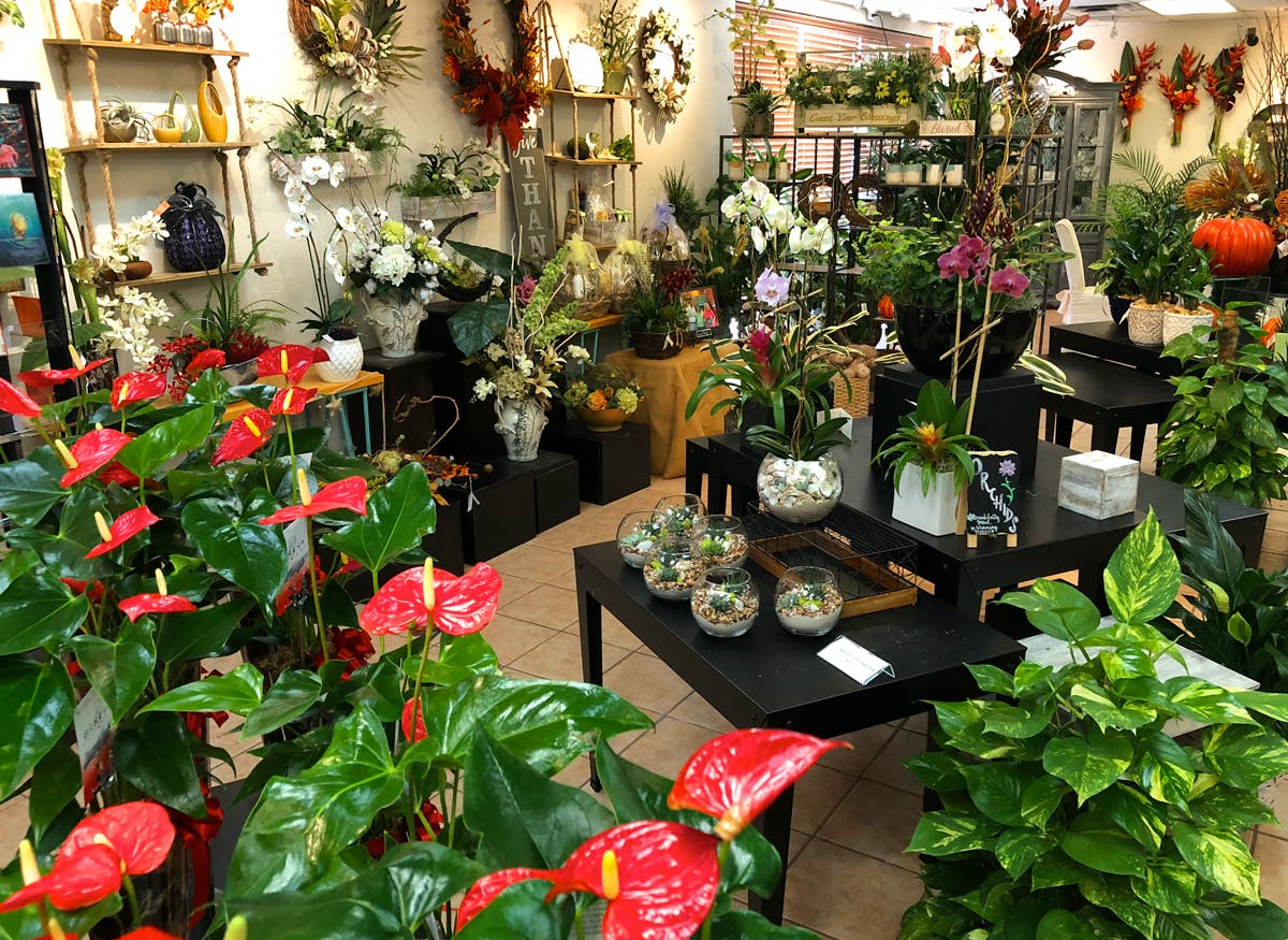 About Us Beneva Flowers Sarasota, FL