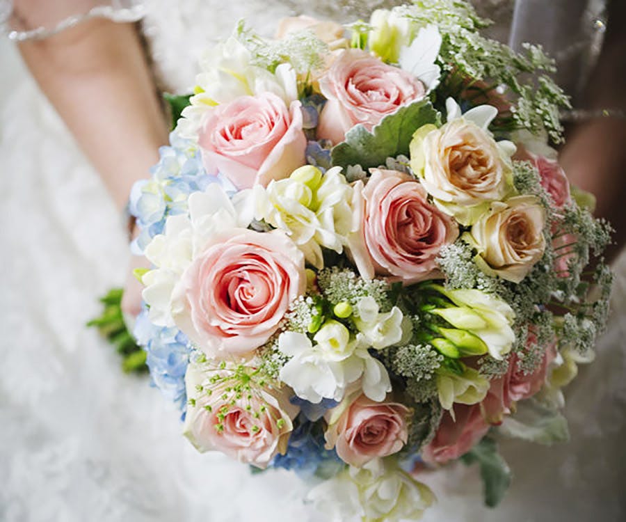 Sarasota Florist & Same Day Flower Delivery Beneva Voted Best