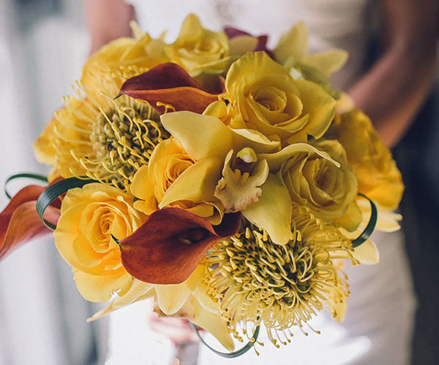 Sarasota Florist & Same Day Flower Delivery Beneva Voted Best